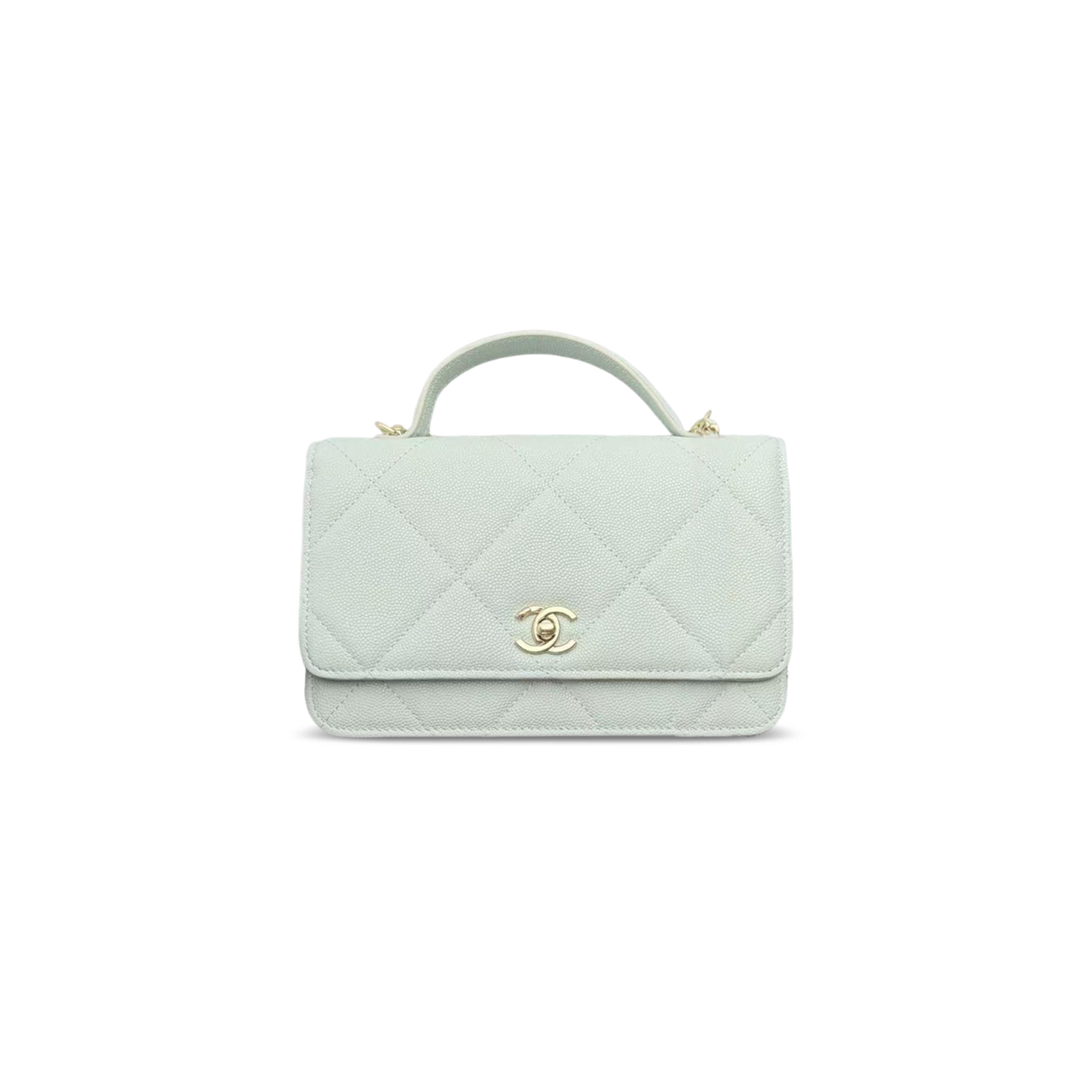 CHANEL WALLET ON CHAIN AP4931 (19*12*4cm)